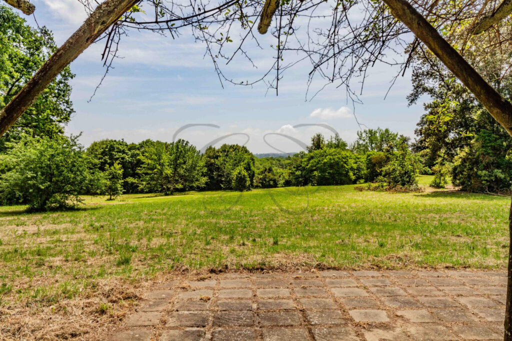 Vista panoramica sulle colline da una villa con grande giardino in vendita a Manziana, vicino Roma.
