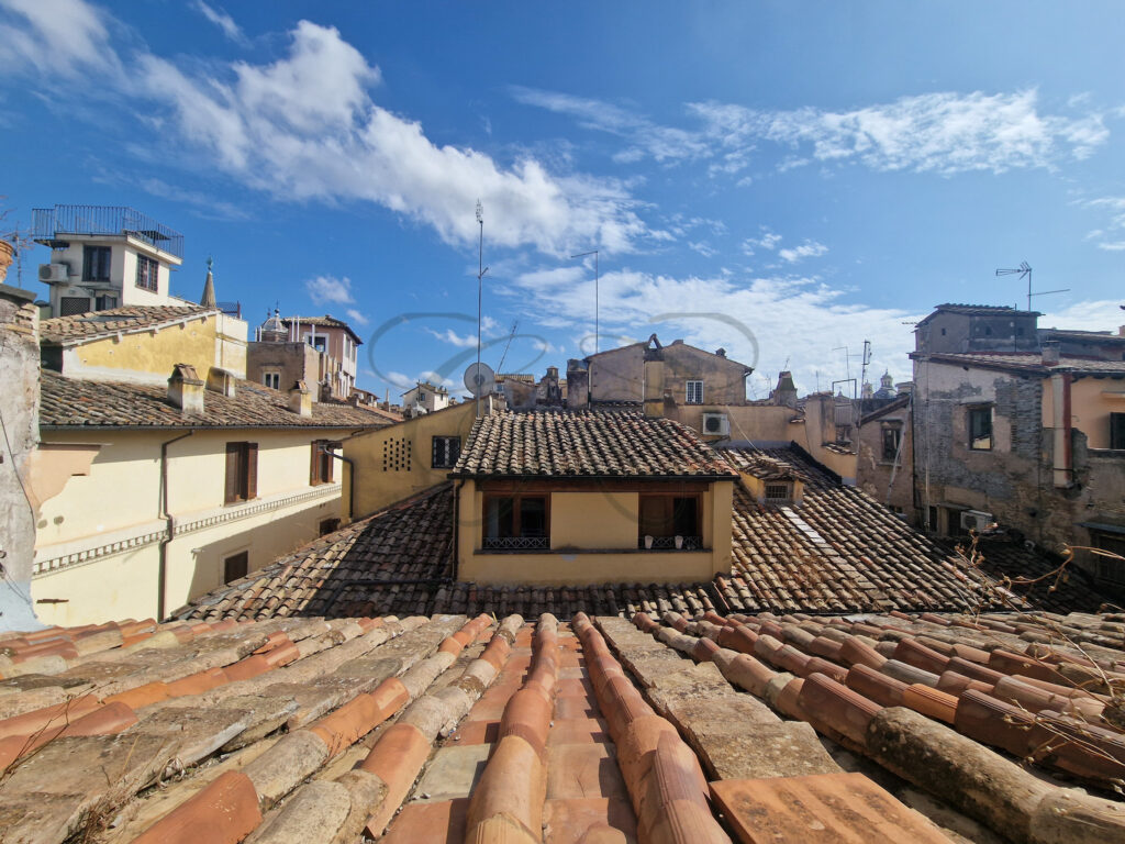Authentic view over the historic rooftops from the attic apartment for rent in Via dei Coronari, Rome.